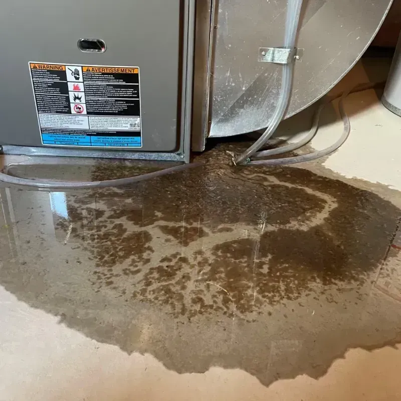 Appliance Leak Cleanup in Belle Glade, FL